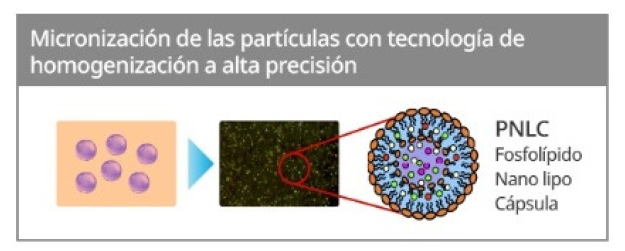 Cuidado nutritivo concentrado profundamente en la piel a través del método M/F - Más ingredientes altamente eficaces son llevados profundamente y más rápido a través del sistema de microsuministro.